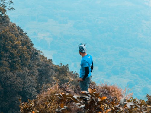 Imagine de stoc gratuită din alpinism montan, alpinist, arbori