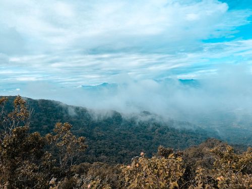 Free Scenic view of a misty mountain landscape surrounded by lush green forests under a cloudy sky. Stock Photo