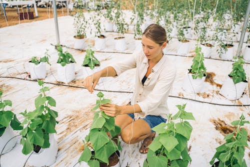 A Woman Holding a Green Plant