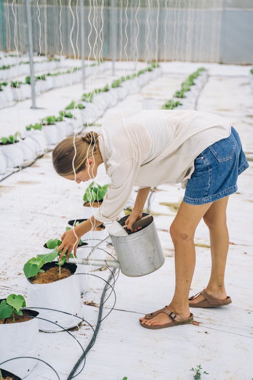 Woman in White Shirt and Blue Denim Shorts Holding Green Plant