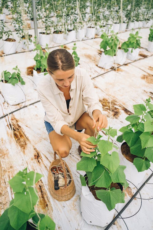 Woman Inspecting a Green Plant