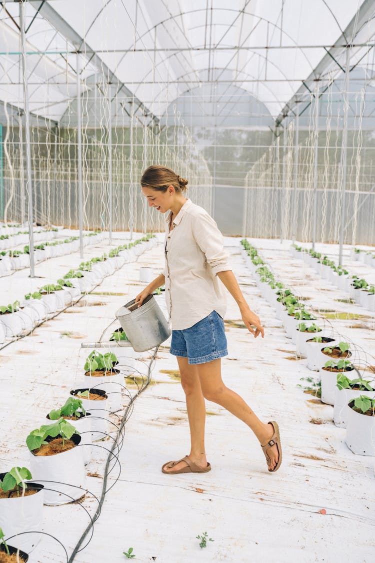 A Woman Watering The Plants