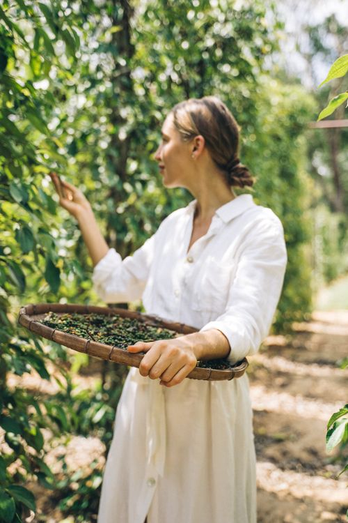 Free A woman in a white dress harvesting in a lush green orchard on a bright summer day. Stock Photo