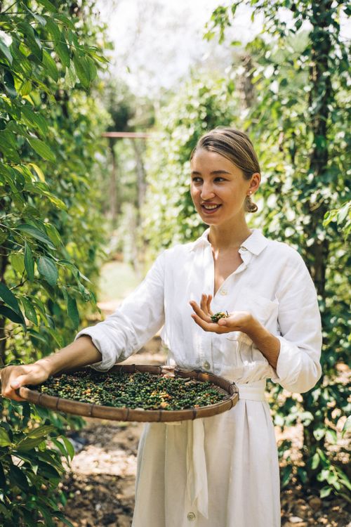 Free A young woman harvesting peppers in a sunlit outdoor pepper farm, exuding joy and nature's bounty. Stock Photo