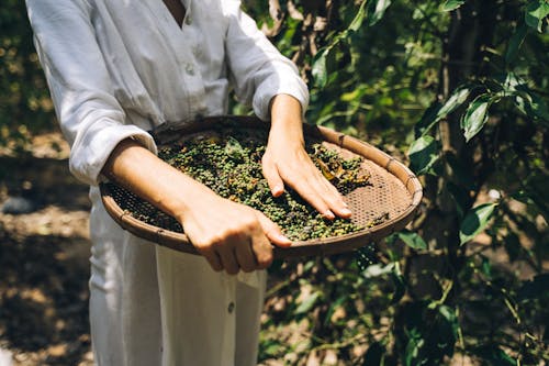 Free A Woman Holding a Peppercorns Stock Photo