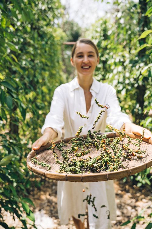 Free Woman in white dress holding winnowing basket with fresh peppers in a garden. Stock Photo