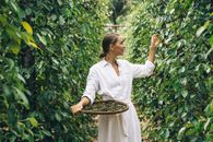 Woman in White Long Sleeve Shirt Holding Brown Woven Basket