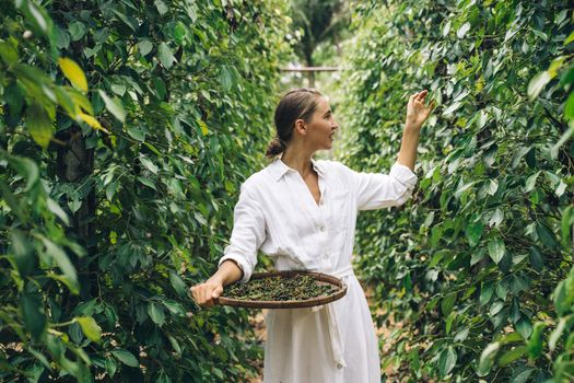 Woman in White Long Sleeve Shirt Holding Brown Woven Basket