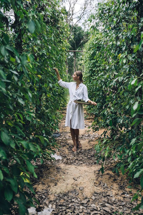 Woman in White Dress Standing in Between Green Plants
