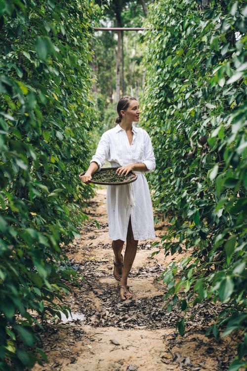 Free A woman in a white dress holds a woven basket, walking through a lush garden path. Stock Photo