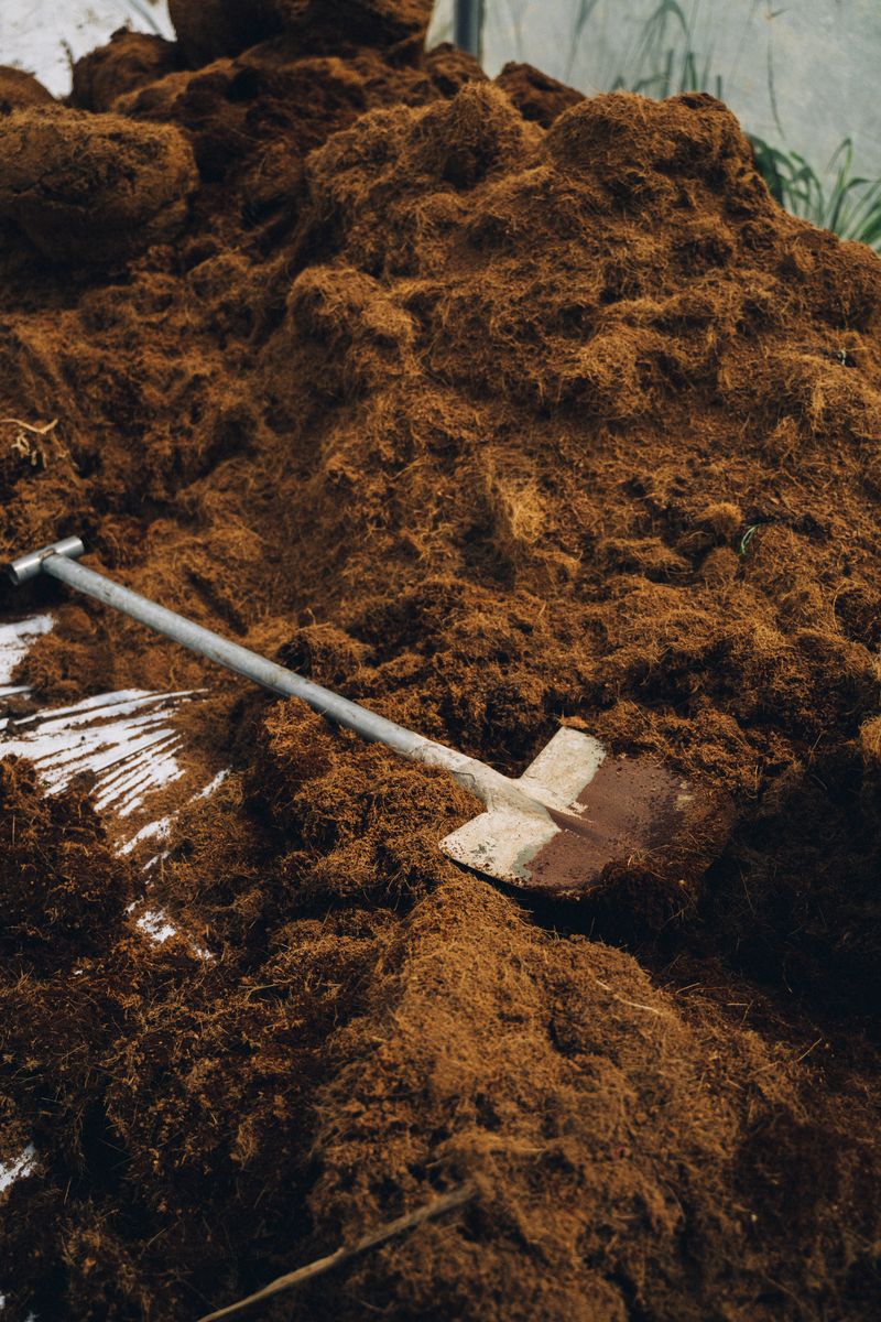 shovel resting on pile of nutrient-rich soil