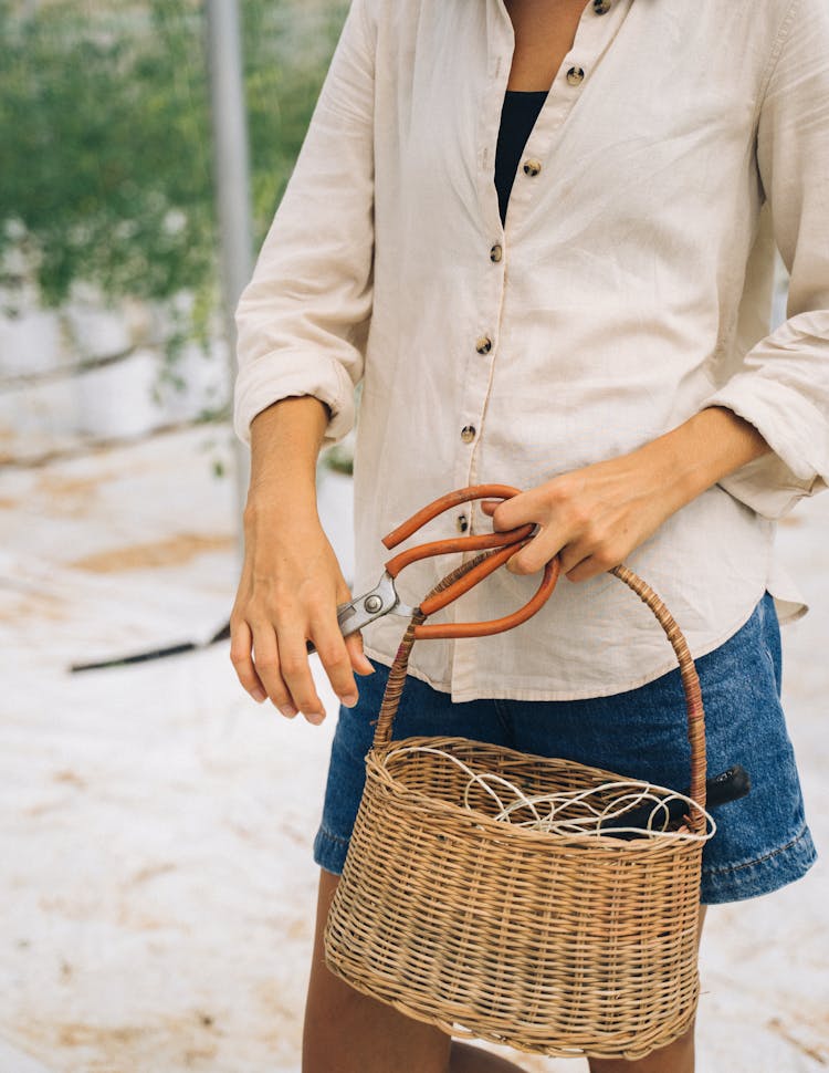 A Person Holding Basket And Scissors