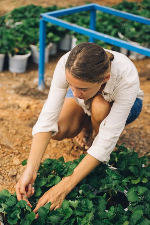 Woman in White Shirt and Blue Denim Shorts Crouching on Ground With Green Leaves