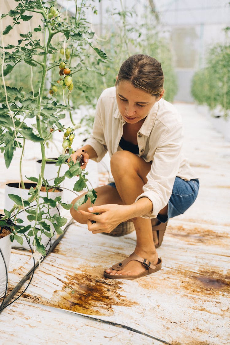 A Woman Planting In A Garden