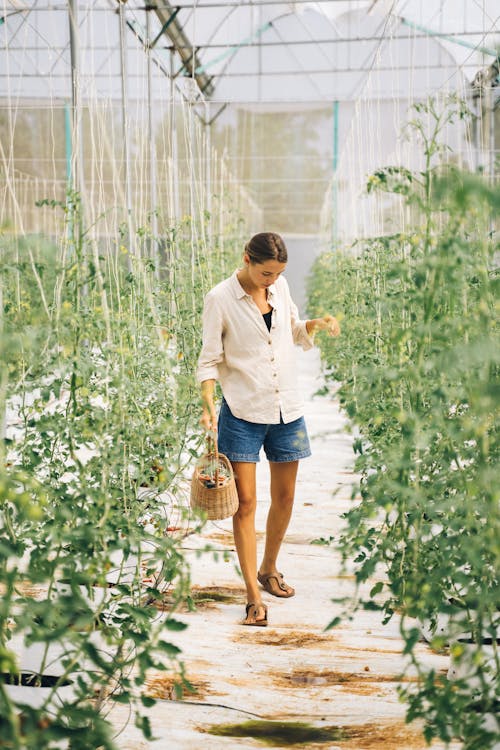 Woman in White Long Sleeve Shirt and Blue Denim Shorts Standing Between Green Plants