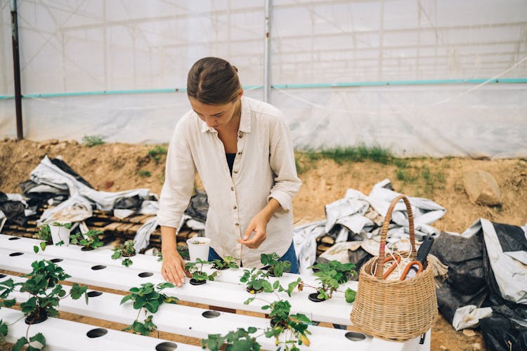 A Woman Planting On A Garden