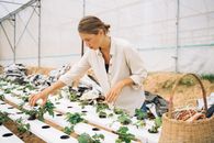 Woman in Beige Long Sleeve Shirt Holding Green Plant
