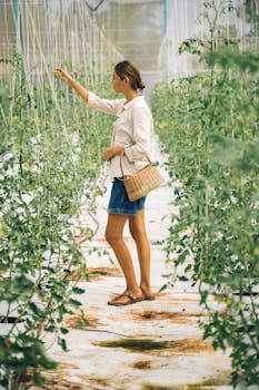 Photo by Anna Tarazevich Woman tending to plants in a lush greenhouse garden during harvest.