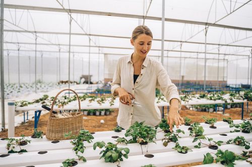 Free Smiling woman tending plants in a high-tech greenhouse, showcasing sustainable agriculture. Stock Photo
