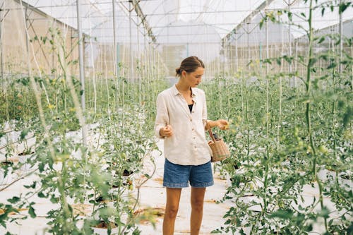 A Woman Looking Down at Green Plants in a Greenhouse