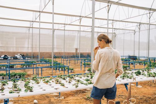 Free Woman in a greenhouse inspecting potted plants on a hydroponic setup, wearing casual attire. Stock Photo