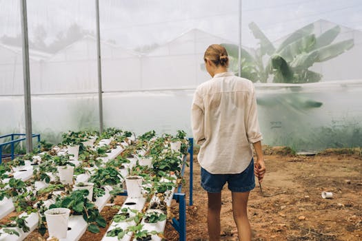 Female gardener in a greenhouse checking hydroponic plants, cultivating modern farming techniques.