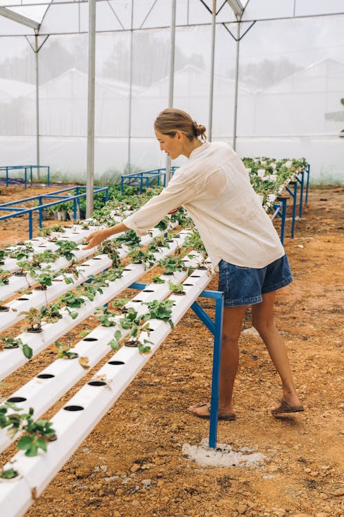 A Woman Standing Near Small Plants