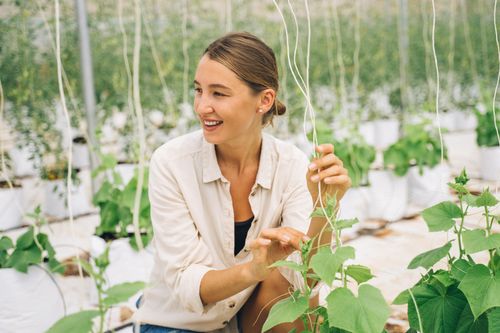 Free Smiling woman tending to plants in a bright greenhouse, showcasing healthy greenery. Stock Photo