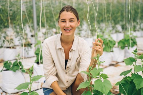 Free Smiling woman in a greenhouse showcasing modern indoor farming techniques. Stock Photo