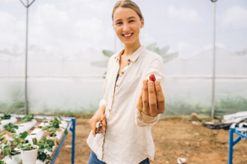 Free A woman showcasing a fresh strawberry in a modern greenhouse with plants around her. Stock Photo
