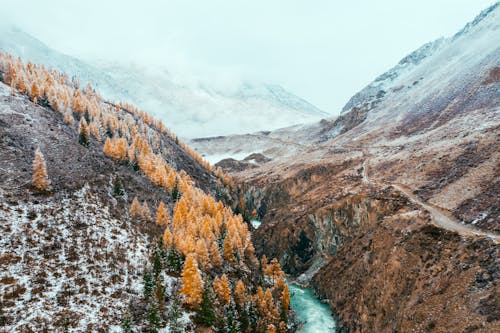 Foto profissional grátis de abismo, água, árvores