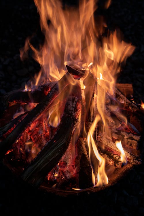 Foto d'estoc gratuïta de crema de fusta, flama, foc