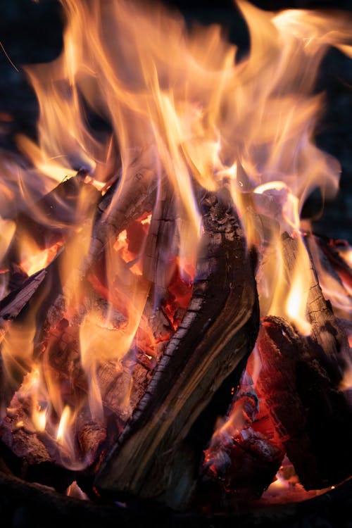 Free Close-up Photo of Burning Charcoal Stock Photo