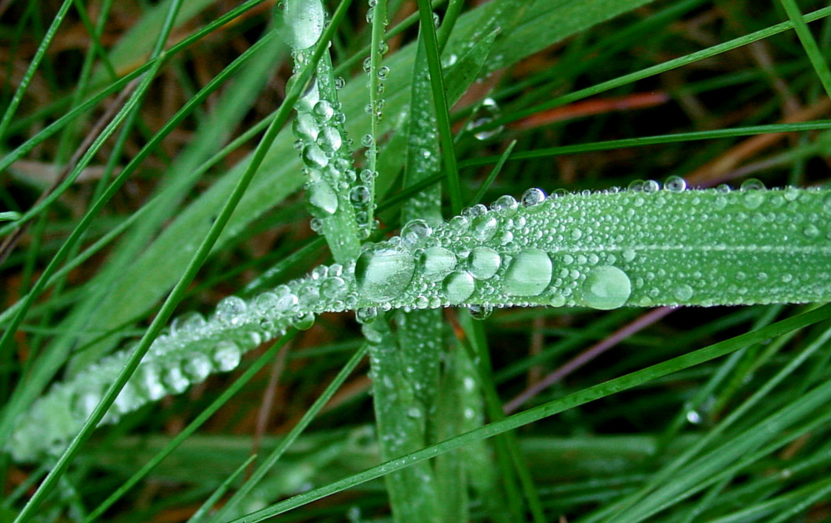 Free stock photo of air, basah, bentuk