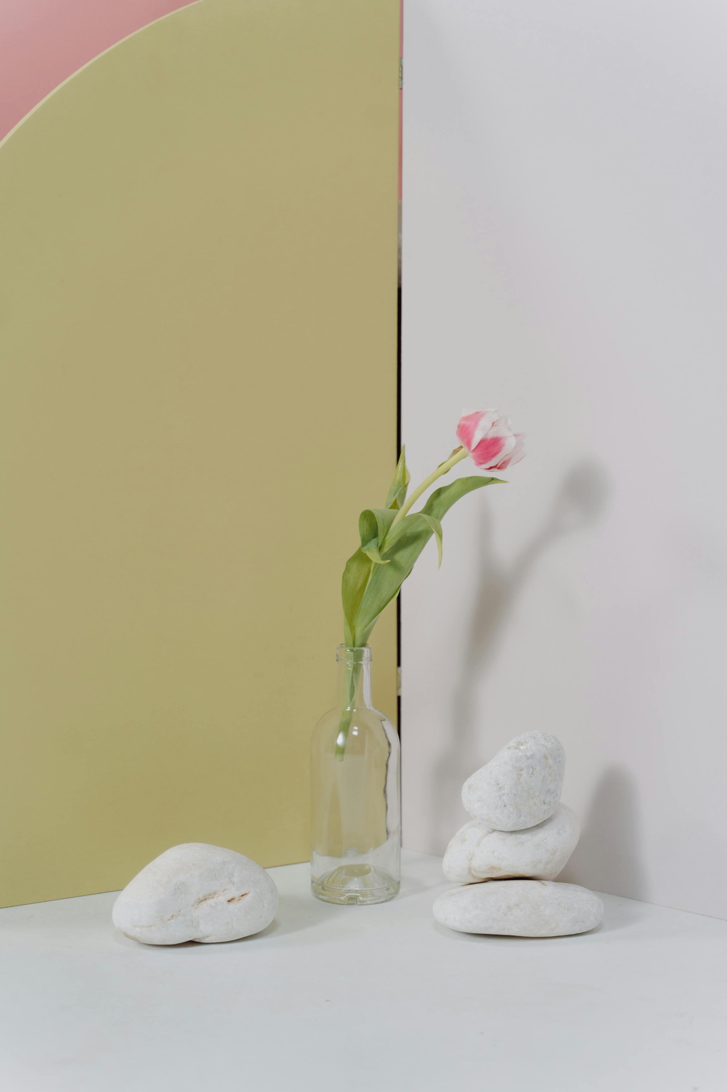 бесплатная Один тюльпан в стеклянной вазе и белые камни, стоящие друг на друге Стоковое фото