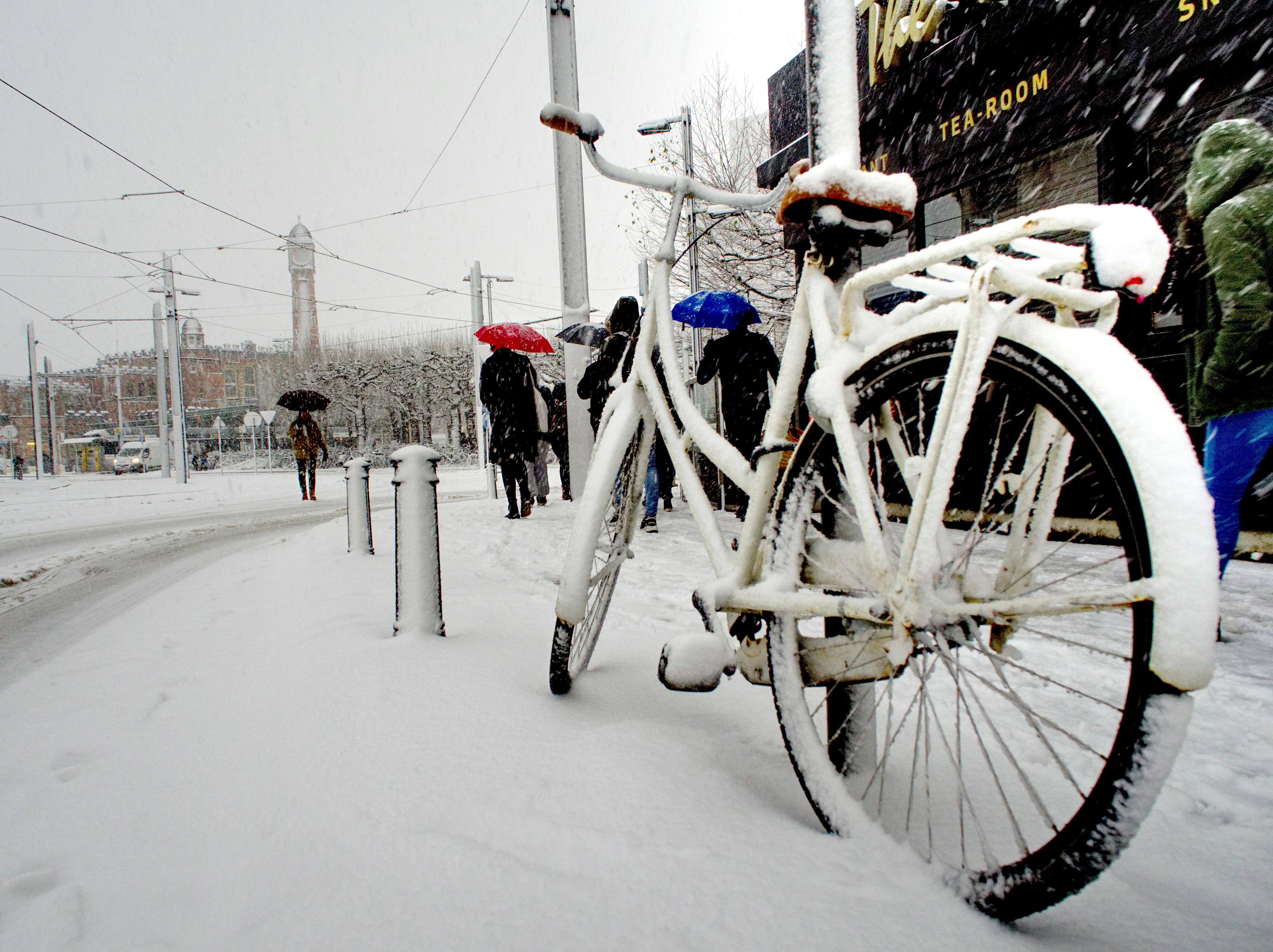 winter bicycle cover