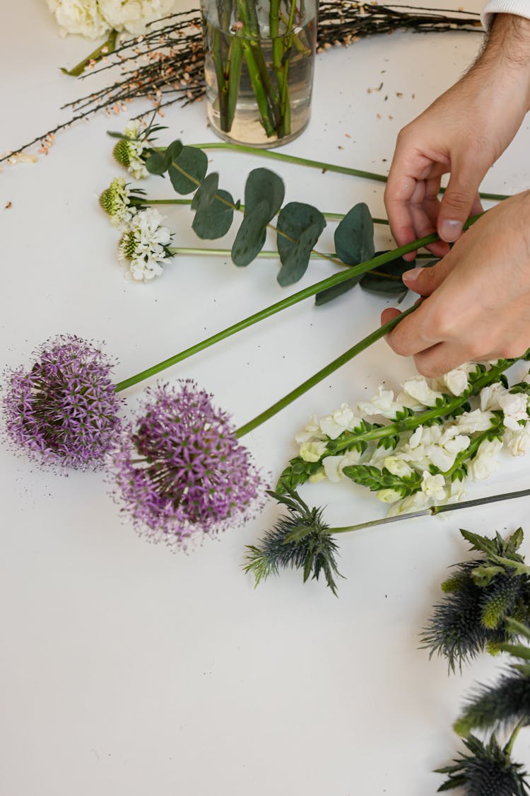 Person Holding Purple Flowers