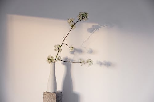 White Flowers in White Ceramic Vase