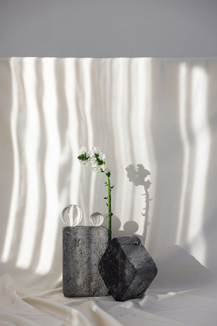 Flower In Minimalist White Interior