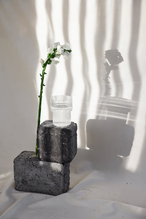 A Flower and a Glass Over Concrete Blocks