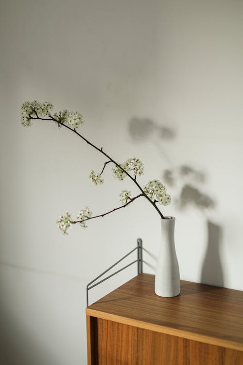 Darmowe zdjęcie z galerii z drewniany blat, łodyga, małe kwiaty