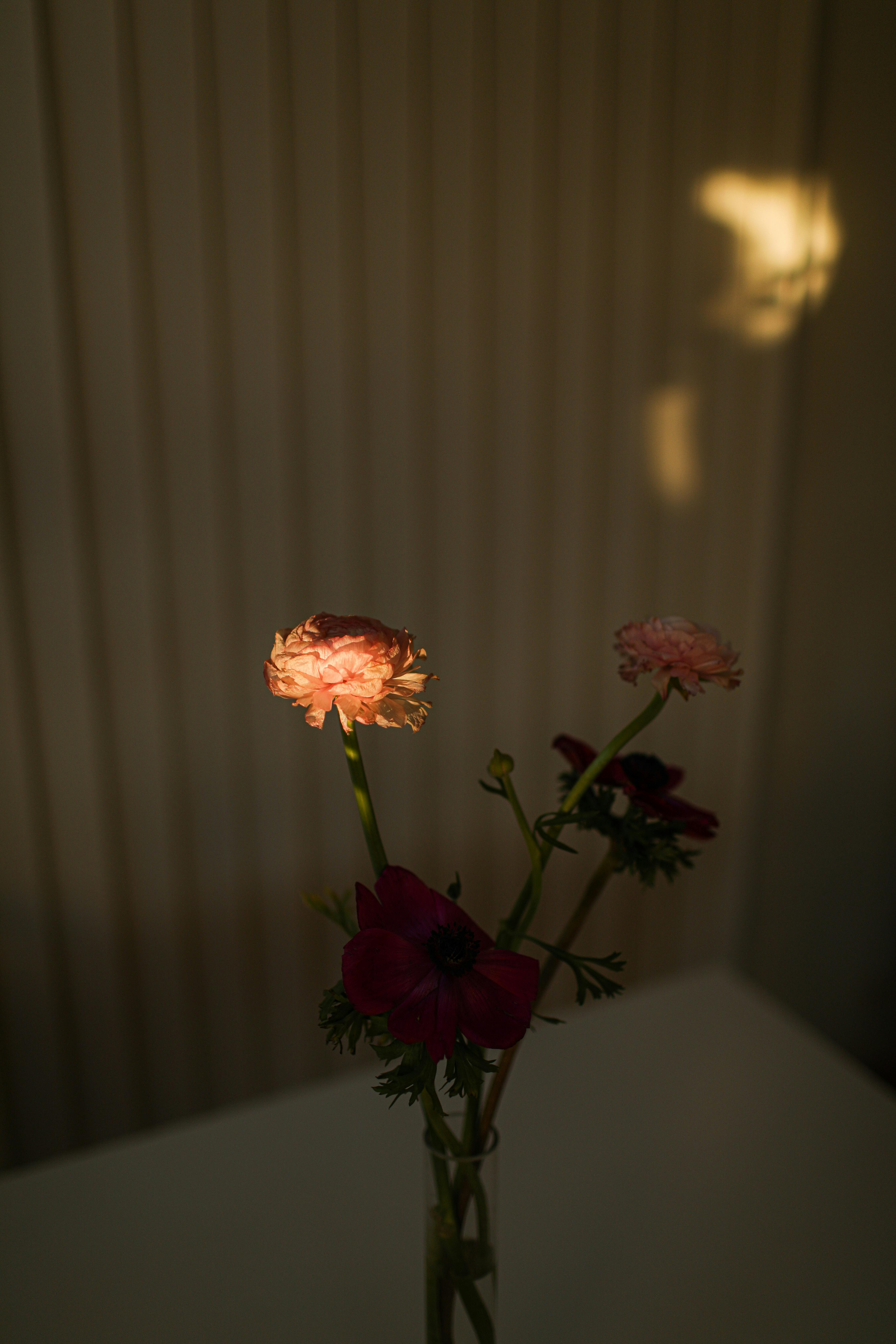 flowers on glass vase