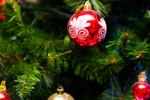 Close-up of Christmas Decorations Hanging on Tree · Free Stock Photo