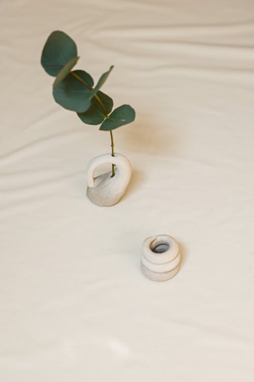 Eucalyptus Branch on Ceramic Vase