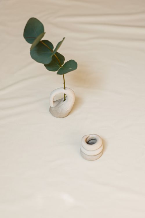 Free Elegant eucalyptus branch in a unique vase on a beige background. Stock Photo