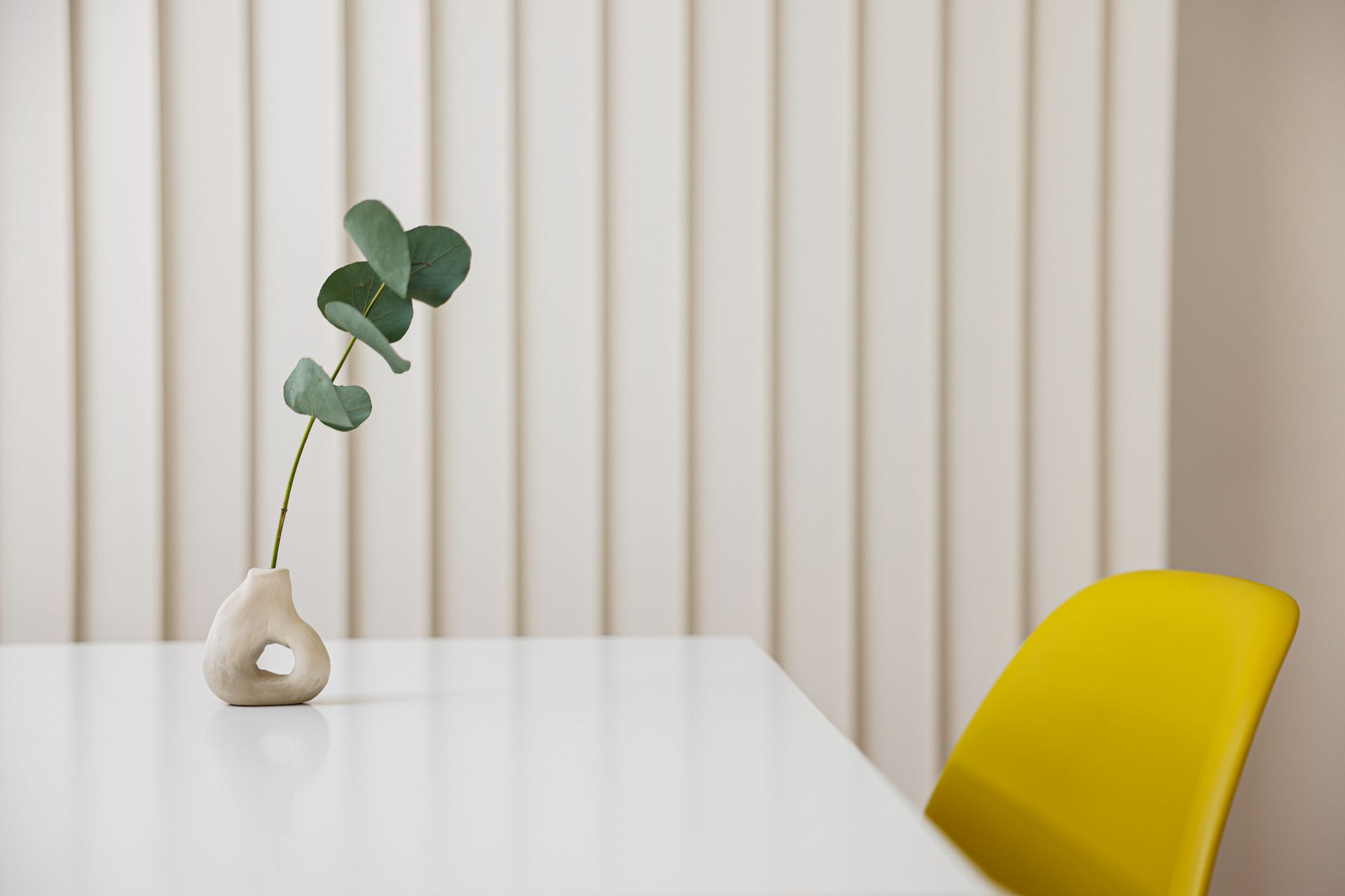 A Green Plant on a Ceramic Vase