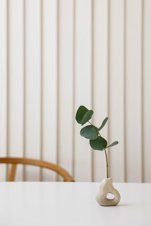 Free Elegant eucalyptus branch in a handmade ceramic vase on a white table, showcasing minimalist design. Stock Photo