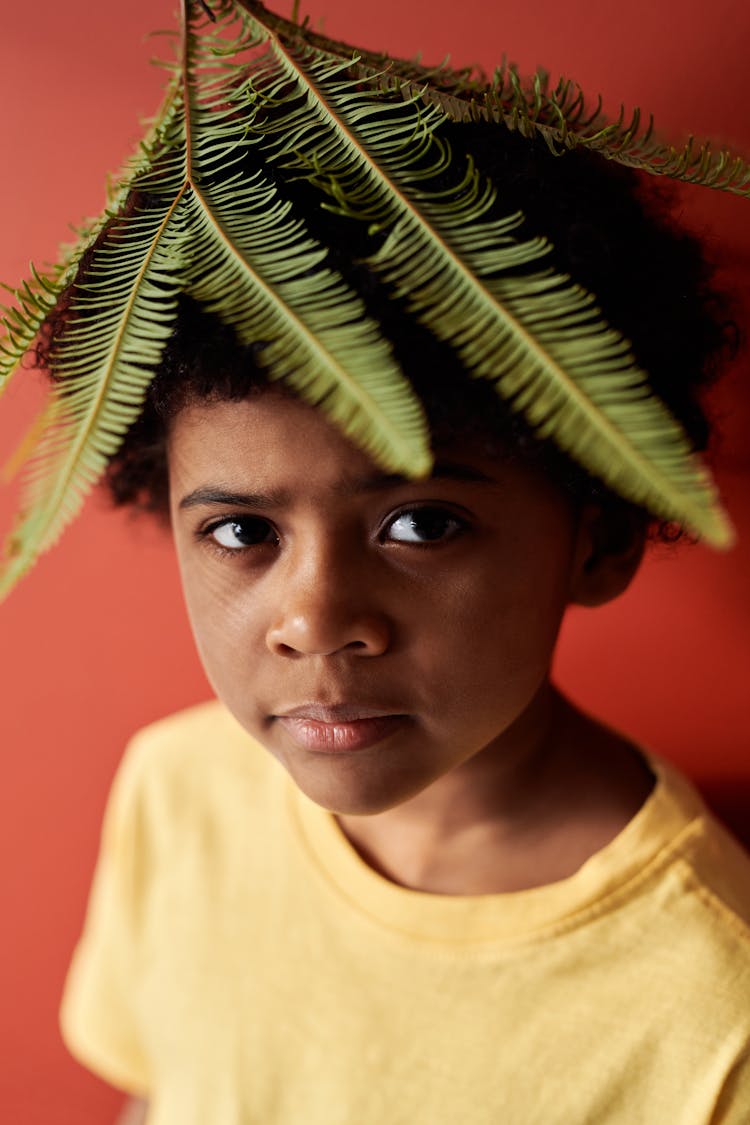 Green Fern Leaves On Top Of Boys Head