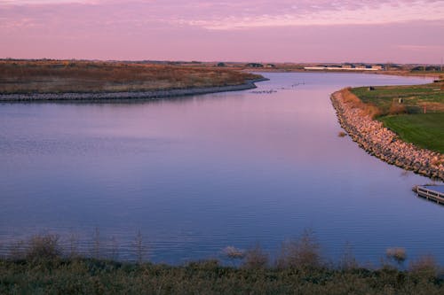 Free stock photo of flat, geese, nebraska Stock Photo