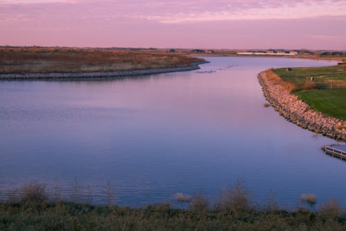 Free stock photo of flat, geese, nebraska